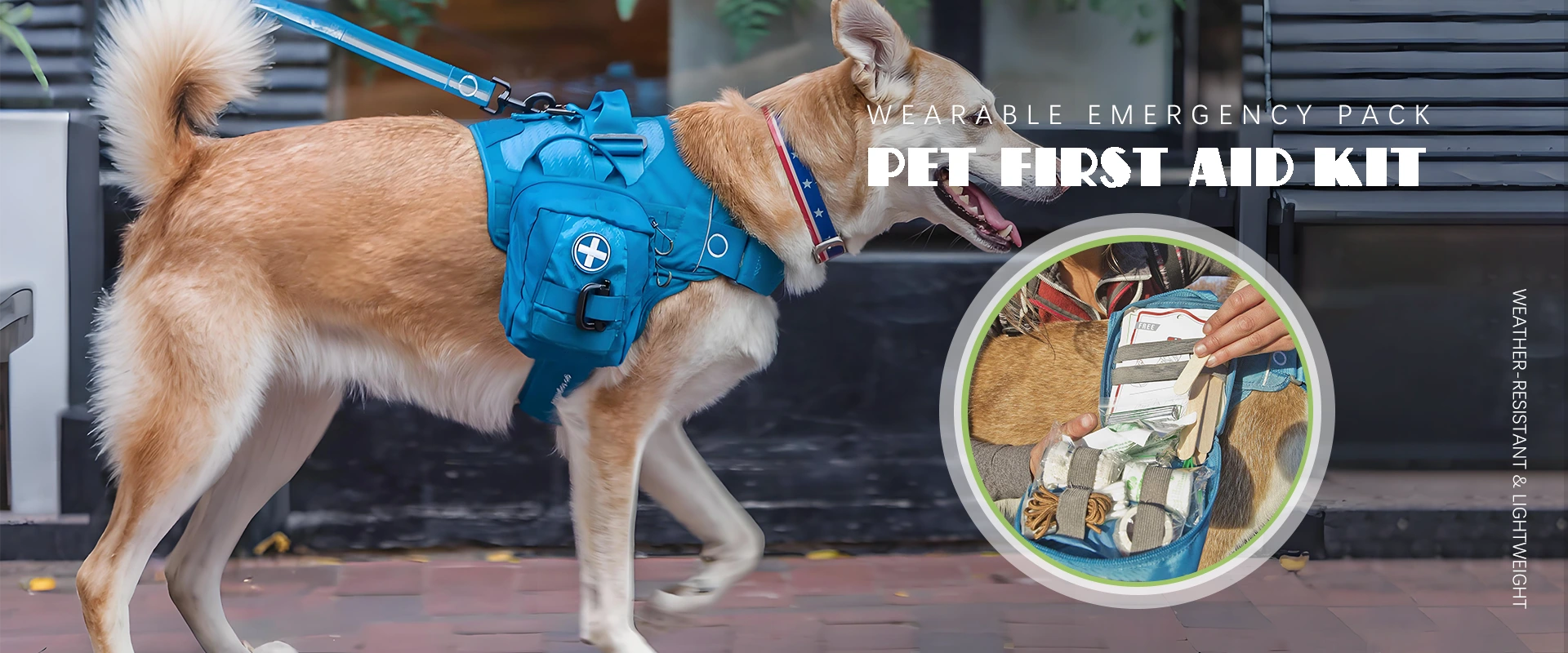 Hersteller von Pet First Aid Kit